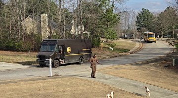 UPS Driver Always Has Love to Give