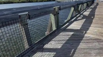 Sideways Trotting Dog