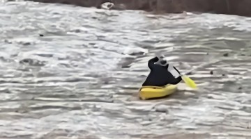 Kayak Sledding in Georgia