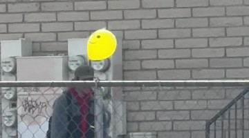 Neighbor Dog Plays With Smiling Balloon