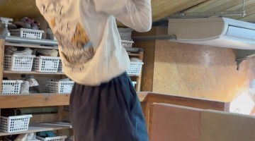 Young Climber Performs a Finger Pull-Up