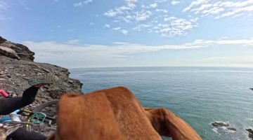 Cliffside Biker's Dog Says Hello