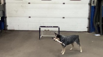 Pepper Shows Off Hockey Skills