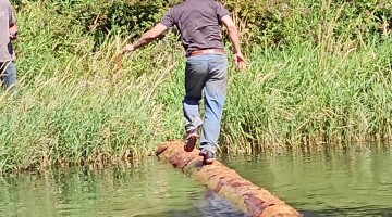 Timber Sports Competitor Conquers Log Run