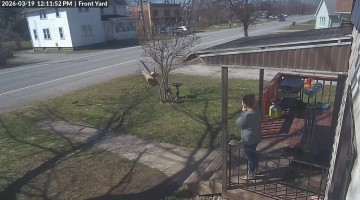 Car Takes Out Telephone Pole On Country Highway