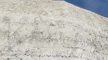 I Don't Think He Expected It to Actually Reach the Top