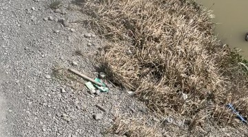 Gave an Alligator My Beefy 5 Layer Burrito