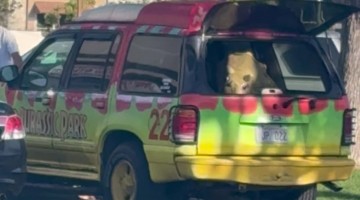 Animatronic Baby Triceratops In Jurassic Park Jeep