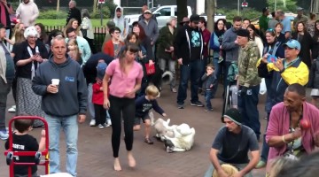 Dog Living His Best Life at the Asheville Drum Circle