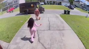 Tiny Dog Tries to Join UPS Delivery Driver Mid-Route