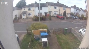 Excited Dog Breaks Owner's Wrist at Fence