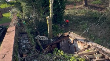 Tree Surgeon Sends It