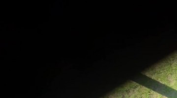 Kid Gets Kneed in the Face