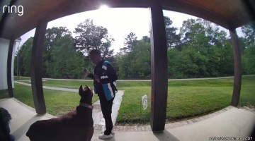 Roux the 140lb Doberman Makes Friends With Amazon Driver