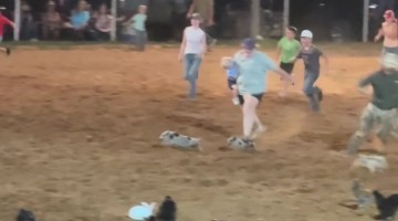 Mom Gets Competitive in Rodeo Competition