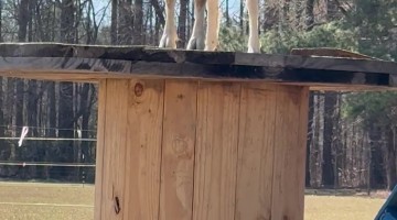 Goat Can’t Find Her Baby