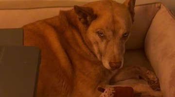 First Night With Newborn