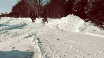 Snowboarder Pulled By Horse Practices for Skijoring Competition