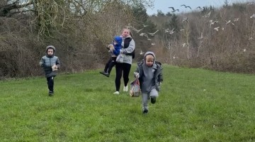 Feeding the Ducks Gone Wrong