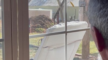 Gizmo Launches Squirrel Away