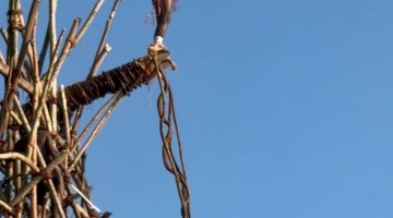 Land Diving on Pentecost Island in Vanuatu
