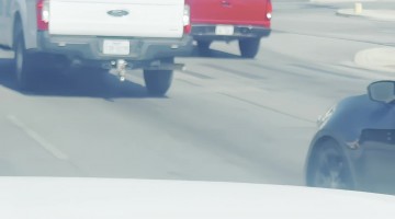 Rooster Spotted Using the Crosswalk in San Antonio, Texas