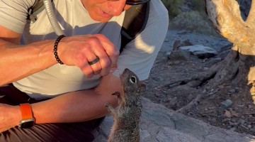 Hiker Shares Water With a Thirsty Squirrel