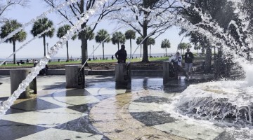 Dog Enjoys Biting Every Spout at Splash Pad