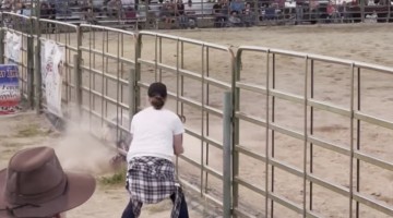 Little Boy Hangs on Tight During Mutton Bustin' Rodeo Event