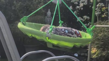 Little Legend Sends It