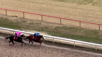 Horse Racing Gender Reveal