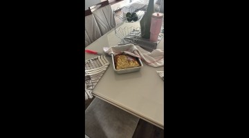 Dog Ate Loaf of Bread While Home Alone