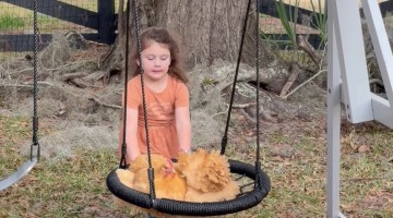 Little Girl Pushes Chickens on a Swing