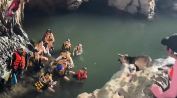 Tourists Cheer For Dog To Jump Into Water