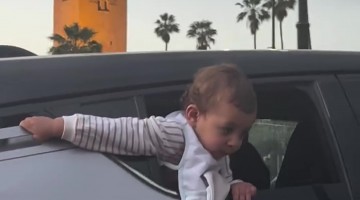 Baby Spotted Leaning Out of Car Window