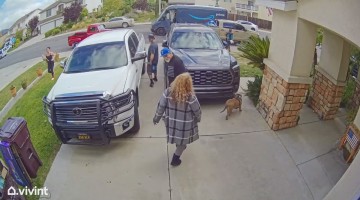 Dog Gets Out and Scares Delivery Driver