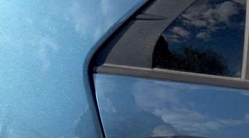 Pup Confidently Launches Out From Opened Car Door