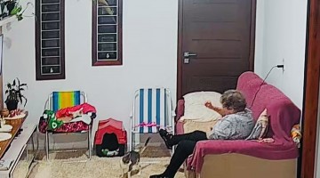 Cat Startles Grandma Who Startles Cat