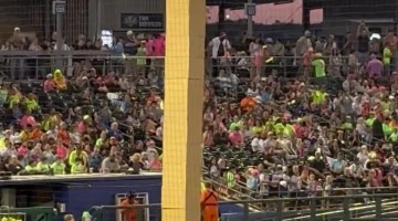 Box Stackers Send Cow to the Moooooon