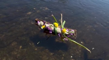 Gopher Given Gentle River Memorial