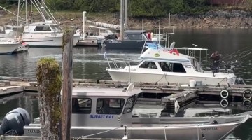 Humpback Whale Breaches in Alaskan Marina