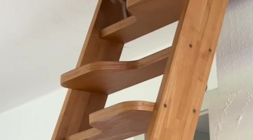 Chihuahua Climbs Steep Stairs