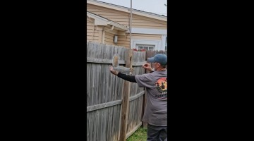 Rocky the Squirrel Stops By