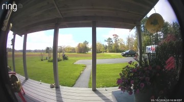 Dog Gets Out and Frightens Delivery Driver