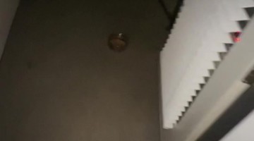 Hot Pot Melts To Balcony Floor