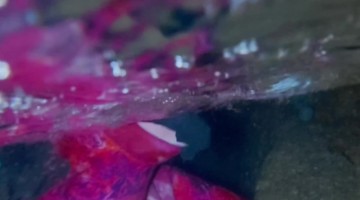 Freediver Breathes With The Tides In Underwater Cave