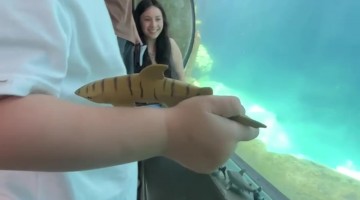 Ocean-Obsessed Toddler Makes a Friend at the Aquarium