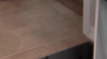 Old Pup Confused When Mom Isn't In Shower