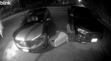 Raccoon Drags Trash Can Down Driveway