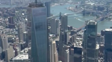 Flying Rescue Puppies Over NYC